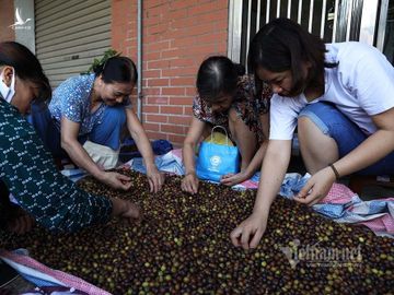 Nông dân kể chuyện: Hai tháng dầm mình dưới bùn, đút túi tiền tỷ