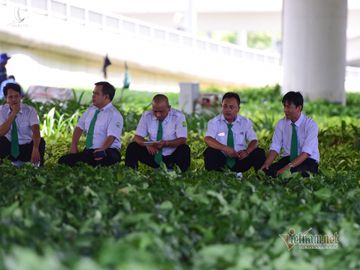 'Nắng tỏa không đều', đầu tàu TP.HCM cần cơ chế để phát triển