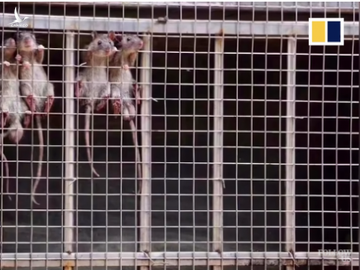 Trung Quốc: Mưa lũ là phép thử của trời, kế hoạch ứng phó chỉ cần 3 phút - Ảnh 3. Trung Quốc: Mưa lũ là phép thử của trời, kế hoạch ứng phó chỉ cần 3 phút - Ảnh 3.