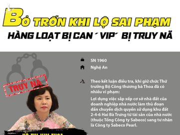 Bỏ trốn khi lộ sai phạm, hàng loạt bị can ‘VIP’ bị truy nã - ảnh 1