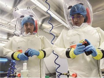 Cựu quan chức Mỹ nói các nhà khoa học Vũ Hán chạy sang phương Tây - 2