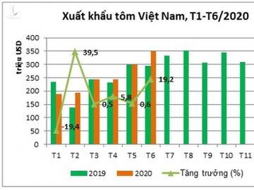 Mỹ, Trung Quốc vẫn tăng mua tôm Việt Nam bất chấp Covid-19 - ảnh 1