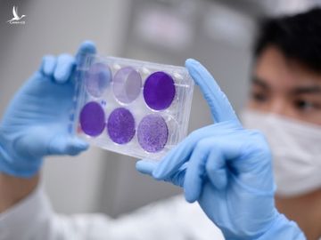 Vaccine Covid-19 anh 2