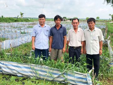 An Giang: Biến ruộng thành &quot;ma trận&quot; bể nuôi lươn, ai ai cũng vui vẻ, nhà nhà khá giả - Ảnh 1.