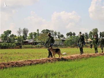 Ngăn chặn hàng trăm đối tượng xuất, nhập cảnh trái phép vào An Giang - 1