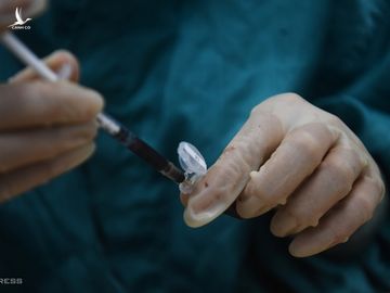 Mẫu máu chuột thí nghiệm thử dự tuyển vaccine Covid-19. Ảnh: Giang Huy.