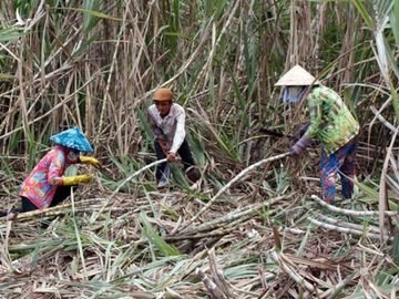 Đồng bào dân tộc ở H.Trà Cú (Trà Vinh) đã bị một số cán bộ lợi dụng hưởng lợi chế độ miễn giảm tiền sử dụng đất /// L.D