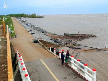 Đoạn đê bờ Bắc – bờ Nam cống Kênh Mới (xã Khánh Hải, huyện Trần Văn Thời) không còn rừng phòng hộ bên ngoài bảo vệ. Ảnh: Trung Dũng