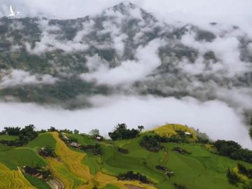 5 homestay cho bạn ngắm mùa vàng Hà Giang