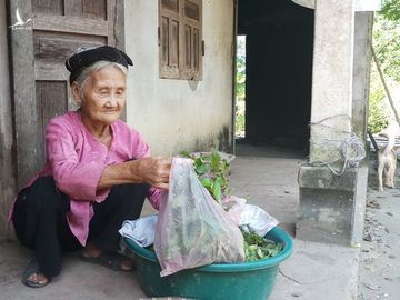 Cụ bà xin thoát nghèo được khen thưởng trong phong trào thi đua yêu nước - ảnh 1