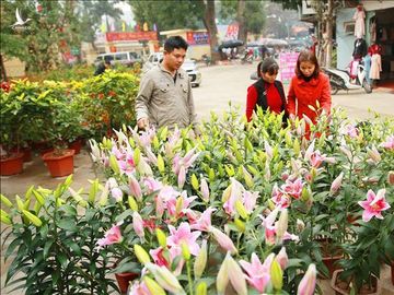 Cuộc sống của người dân Đồng Tâm đã trở lại bình yên. Ảnh tư liệu: Doãn Tấn/TTXVN