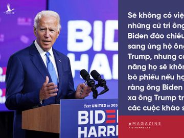 Donald Trump,Biden,bầu cử Mỹ,Terry F. Buss