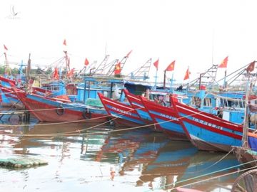 Quảng Trị khẩn trương sơ tán dân đến nơi an toàn trú bão - 4 Quảng Trị khẩn trương sơ tán dân đến nơi an toàn trú bão - 4