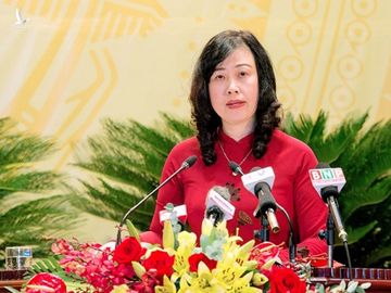 Bà Đào Hồng Lan làm Bí thư Tỉnh ủy Bắc Ninh nhiệm kỳ 2020-2025 - ảnh 1