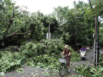 Vì sao hàng trăm cột điện tại Thừa Thiên Huế gãy đổ trong bão số 5? - 6