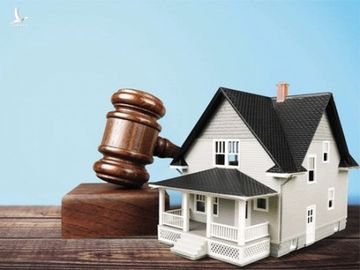 Bộ Tư pháp phát hiện sai phạm khó tin trong đấu giá tài sản ở Hà Nội - 1