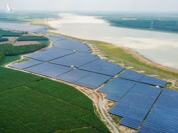 Một dự án điện mặt trời được chủ đầu tư tư nhân rót vốn tại Tây Ninh. Ảnh: Như Quỳnh.