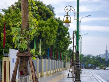 Can canh tuyen duong vao khu di tich Yen Tu anh 8