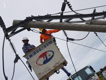 Bàng hoàng cây đổ la liệt cùng trụ điện, nhà bay mất mái sau bão số 5 - ảnh 11