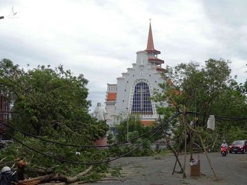 Bàng hoàng cây đổ la liệt cùng trụ điện, nhà bay mất mái sau bão số 5 - ảnh 3