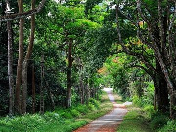 Làm thế nào để có 'mỡ nó rán nó'