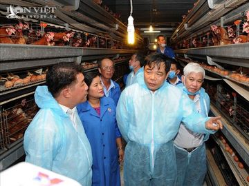Bộ trưởng Nguyễn Xuân Cường chỉ rõ điểm yếu nhất của ngành nông nghiệp là gì? - Ảnh 3.