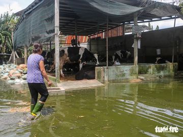 Ngập gì mà ngập hơn nửa tháng, dân Xuân Thới Đông có người đi nơi khác ở tạm - Ảnh 4.