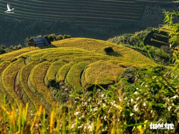 Đuổi theo mặt trời ngắm ruộng bậc thang đẹp như tranh vẽ - Ảnh 4.