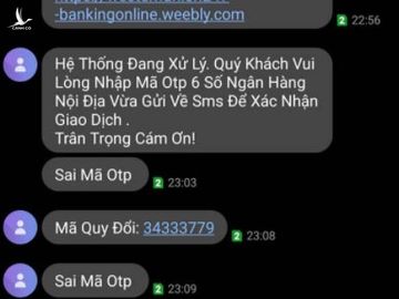 thu doan lua dao western union anh 3