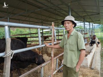Ông Nguyễn Đình Tích, người trông trại nói gia đình ông quá chật vật khi phải bỏ tiền túi lo cho đàn bò tót này. Ảnh: Việt Quốc.