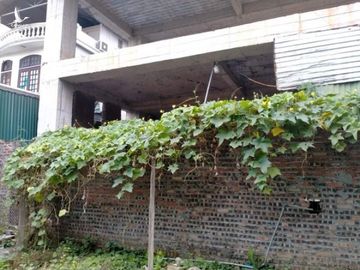 Bộ Tư pháp phát hiện sai phạm khó tin trong đấu giá tài sản ở Hà Nội - 2