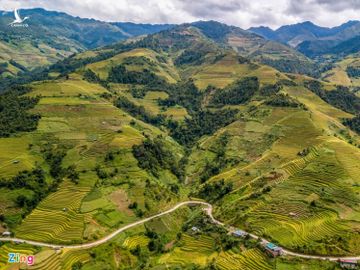 Ruong bac thang Mu Cang Chai mua lua chin anh 2