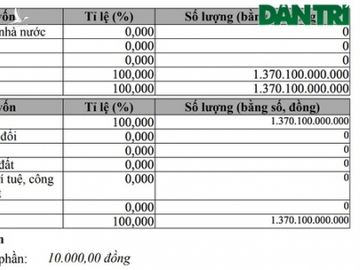 Một công ty tăng vốn sốc từ 100 triệu đồng lên hơn 1.370 tỷ đồng - 4