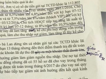 Trước khi bị bắt, nguyên giám đốc NHNN chi nhánh tỉnh Đồng Nai bị tố cáo gì? - Ảnh 5.