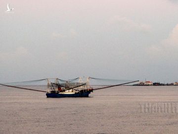 Tàu cá dân binh Trung Quốc vào gần đảo Phan Vinh A (Trường Sa), tháng 4.2016 /// Ảnh: Mai Thanh Hải