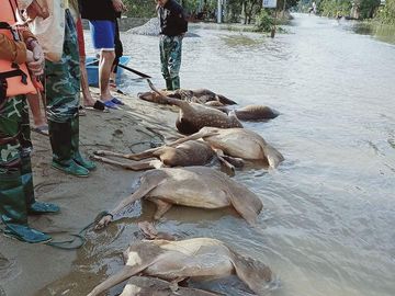 Cụ ông khóc vì trắng tay sau lũ còn nợ ngân hàng, vợ chồng ca sỹ Thủy Tiên tặng ngay 210 triệu - Ảnh 3.