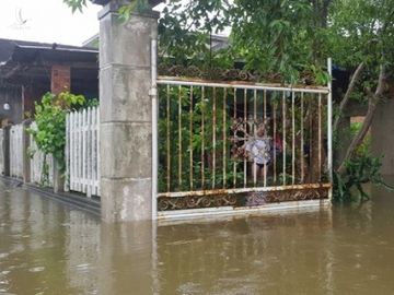 Đà Nẵng: Nhà dân ngập nặng, nhiều người dùng ghe đi lại - Ảnh 8.