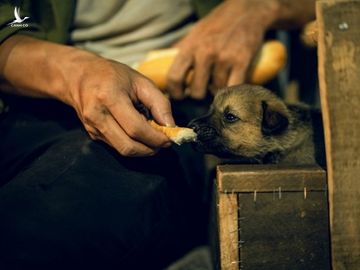 “Trung thu nhất định ba sẽ về” - bộ ảnh của nhiếp ảnh gia 9x đã lấy đi nước mắt người xem - ảnh 3