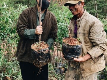 Hà Anh Tuấn khởi trồng 2 cánh rừng đầu tiên trong dự án 'Rừng Việt Nam' - ảnh 2