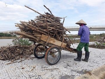 Bùn chất đầy nhà sau lũ, người dân Quảng Trị hối hả dọn dẹp