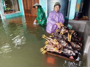 Đường phố Hà Tĩnh biến thành sông, lệnh sơ tán hàng nghìn hộ dân