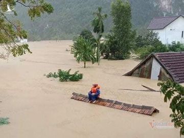 Giáo sư ‘người rừng’: Chúng ta đang buôn bán, đánh đổi với thiên nhiên