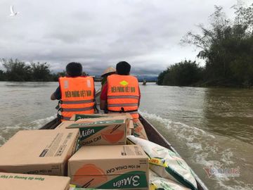 Giáo sư ‘người rừng’: Chúng ta đang buôn bán, đánh đổi với thiên nhiên