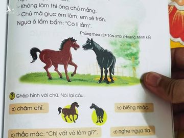 Nhiều câu chuyện trong sách giáo khoa tiếng Việt lớp 1 không rõ tính giáo dục - ảnh 1