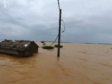 Đem mì tôm, nước sạch cứu dân bị cô lập 3 ngày ở rốn lũ Quảng Trị - Ảnh 8. Đem mì tôm, nước sạch cứu dân bị cô lập 3 ngày ở rốn lũ Quảng Trị - Ảnh 8.