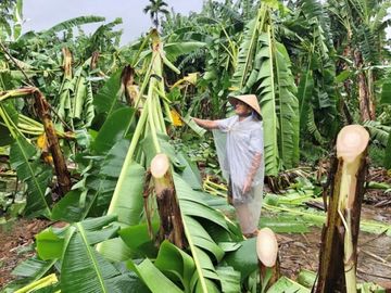 Quảng Ngãi: Lũ trên các sông lên nhanh, nhiều nơi bị cô lập - Ảnh 3.