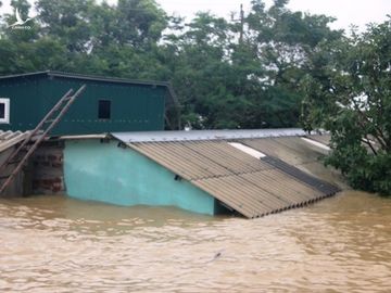 Quảng Bình: Người dân vùng lũ lên nóc nhà 'hét' xin cứu trợ mì tôm, nước uống - ảnh 6