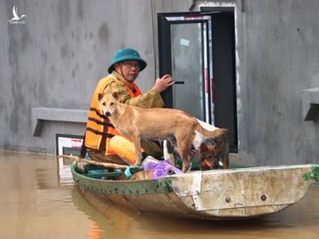 Quảng Bình: Người dân vùng lũ lên nóc nhà 'hét' xin cứu trợ mì tôm, nước uống - ảnh 8