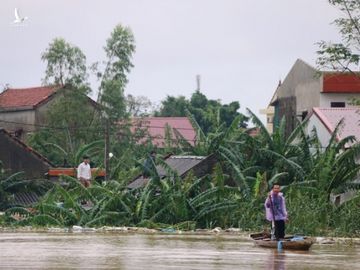 Quảng Bình: Người dân vùng lũ lên nóc nhà 'hét' xin cứu trợ mì tôm, nước uống - ảnh 9