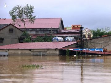 Quảng Bình: Người dân vùng lũ lên nóc nhà 'hét' xin cứu trợ mì tôm, nước uống - ảnh 10